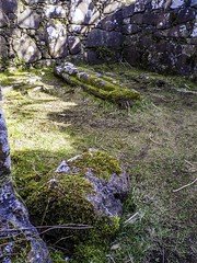 St Columba's Isle : Skeabost [Ancient Burial Ground]