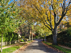 Autumn On Underwood Road