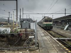 Trains - ZSSK 460