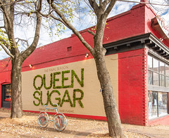 OWN - Queen Sugar: The Final Season