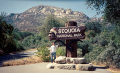 Sequoia National Park, 2003