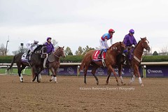 Breeders Cup Classic 2022