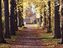 2022 Sömmerda, Martinipark Herbst