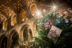 The Christmas Tree Festival at Chester Cathedral (2022)
