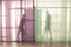Do Ho Suh at the MCA
