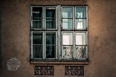 windows and doors