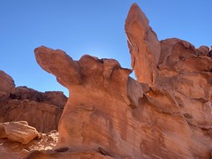 2022 Gold Butte Natl Monument