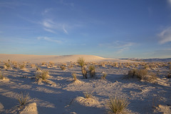 Desert Southwest 2022