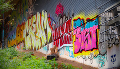 Bristol Street Art & Graffiti