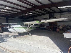 N8358T, Cessna 175C Skylark (17557058), Zephyrhills 23rd October 2022