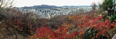 2014-11-09-19 - Seoul V2