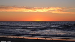 Sunset Outing With The Cuzz At Salinas River State Beach (11-13-2022)