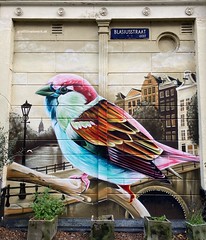 Street art/Graffiti - Amsterdam (2022)