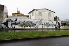 graffiti - becoRS na Medianeira dezembro 2022