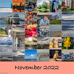 365 ~ November 2022