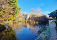 Montgomery Canal  Llanynech December 2022