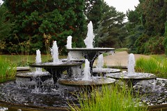 2022 Cambridge Botanic Gardens
