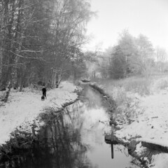 Bronica S2a: En tur langs åen og på marken to vinterdage i december