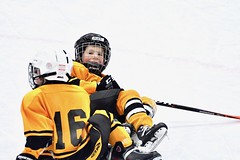 MAX EAST YORK BRUINS vs EAST YORK RED WINGS,  EAST YOUR ARENA, EAST YORK ON CANADA, DECEMBER  17 2022, ACA PHOTO