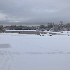 2022-12-20 Cross country Skiing at Trout Lake after 10 inches of snow