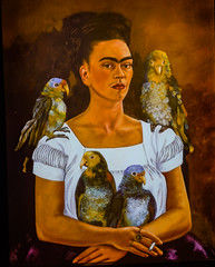 Frida Kahlo Experience