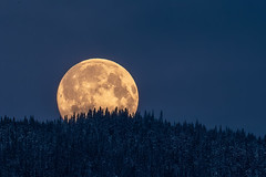 The moon - La Luna - Månen