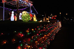 Christmas lights (Roseburg & Winston)
