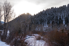 Montana Winter 2022