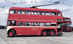 trolleybuses