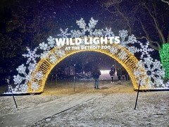 Wild Lights at The Detroit Zoo