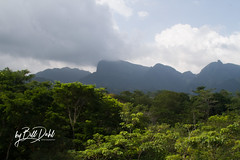 The Mountains of Chiapas