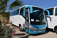Buses & Coaches - Morocco