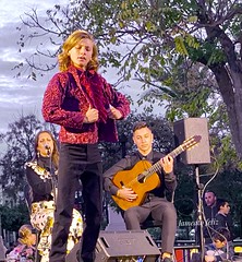 Día Internacional del Flamenco. Alameda.