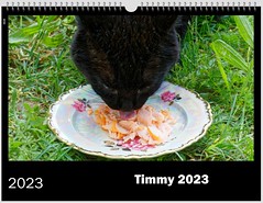 Timmy Calender 2023