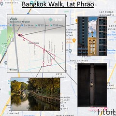 Fitbit Walks 2022