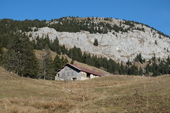 Hike to Montagne des Frêtes & Champ Laitier