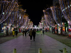 winter-illuminations-of-shizuoka-aoba-street_031222