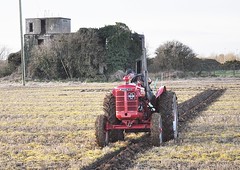 vintage ploughing limavady 7-1-23