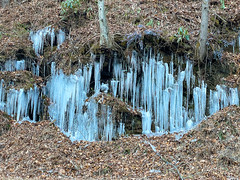 Icicles on NC 276_2022