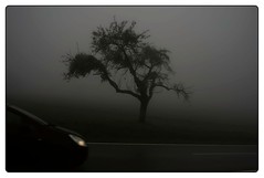 The Fog - Jan '23
