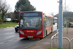 D & G Bus