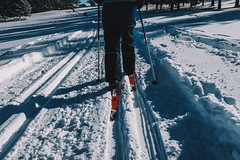 Cross-country skiing - January 15, 2023