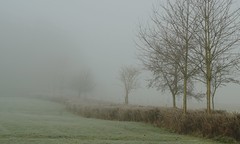 Fog - Mist - Tåge