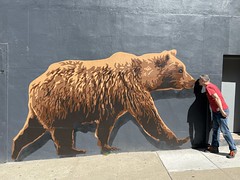 bear kiss
