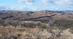 Nogales Border Walk...1-18-23