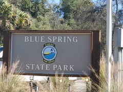 Blue Spring State Park Florida February 2022