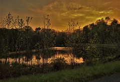 Sunset At Mabbott Pond
