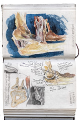 Anatomy sketchbook