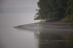 Sundarban January 2023