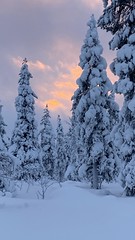 Lapland In Winter , Finland